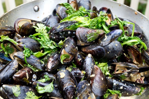 Grilled Mussels with Coconut Curry Broth-11