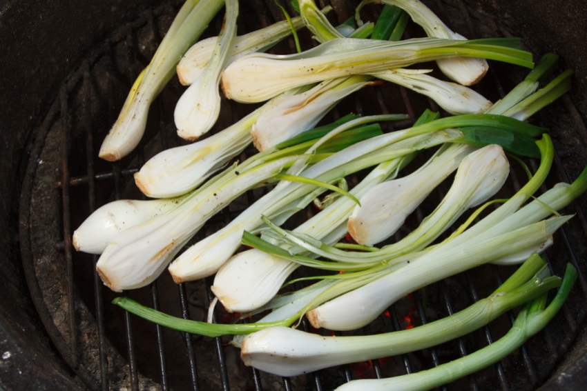 Grilled Spring Onions with Romesco TGF-24